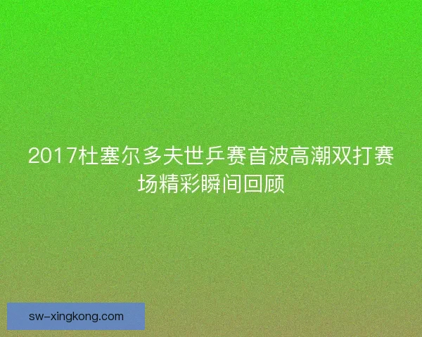 2017杜塞尔多夫世乒赛首波高潮双打赛场精彩瞬间回顾